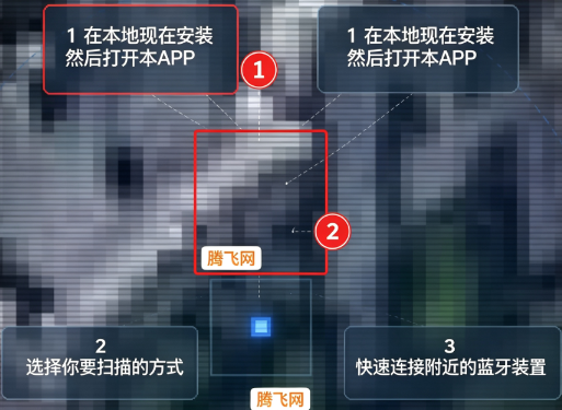 蜘蛛查找手机版app 蜘蛛查找手机版app
