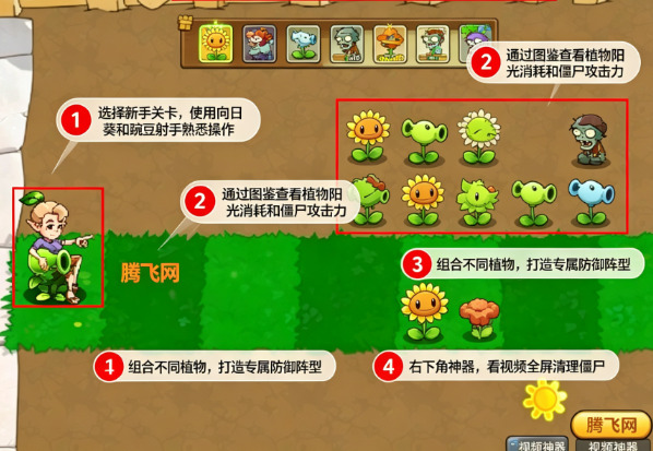 植物僵尸的大乱战手机版 植物僵尸的大乱战手机版