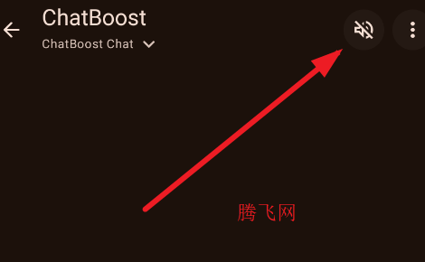 ChatBoost�ٷ���app