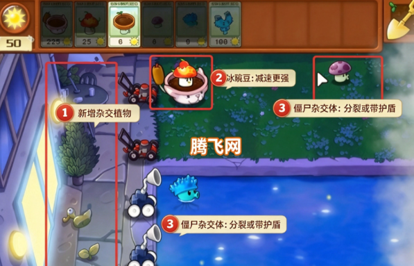 植物大战僵尸杂交重制版 植物大战僵尸杂交重制版