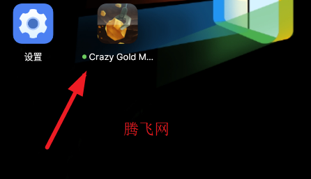 �ƽ�󹤷����ֻ���Crazy Gold Miner