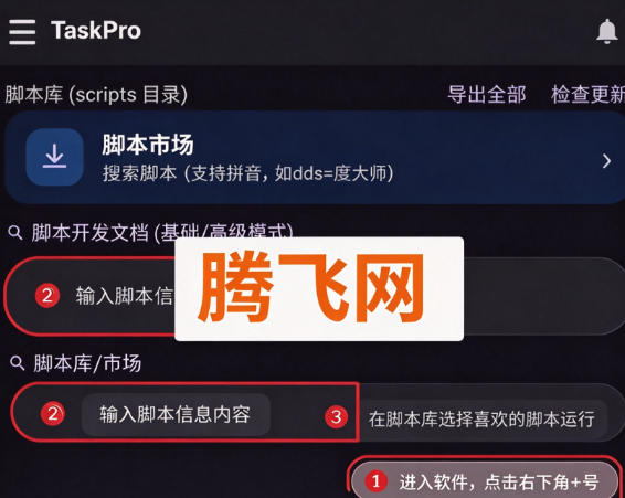 ��ʱ����Pro�ֻ���