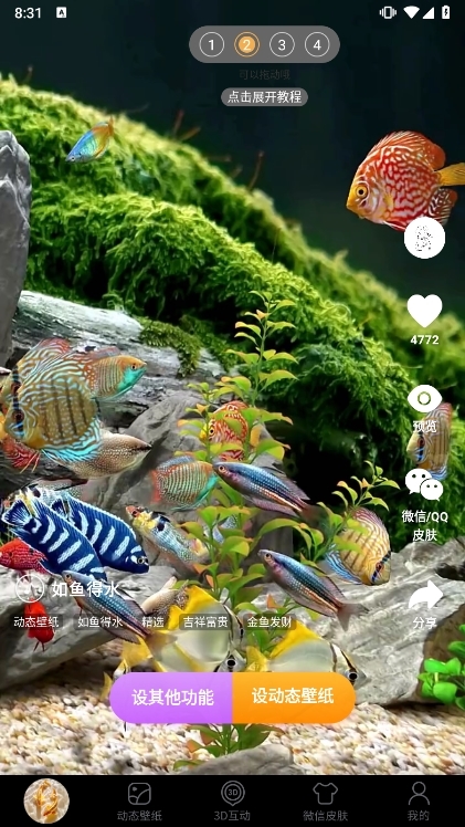 ���������ֽ��׿��