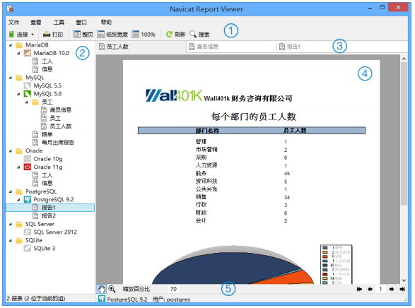 Navicat Report Viewer�����鿴��v3.2.4 �����鿴��