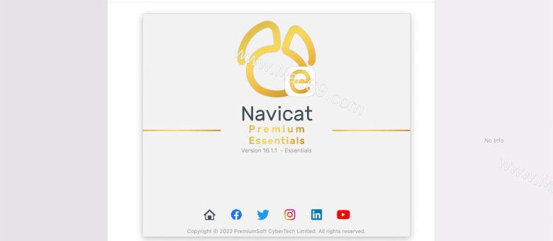 Navicat Premium Essentials���԰�v11.2.9 ���ݿ��������