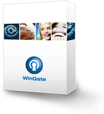 WinGatev2026 ���İ�