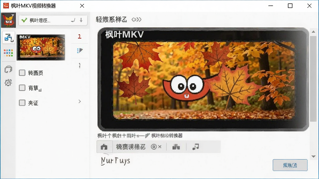 枫叶MKV视频转换器