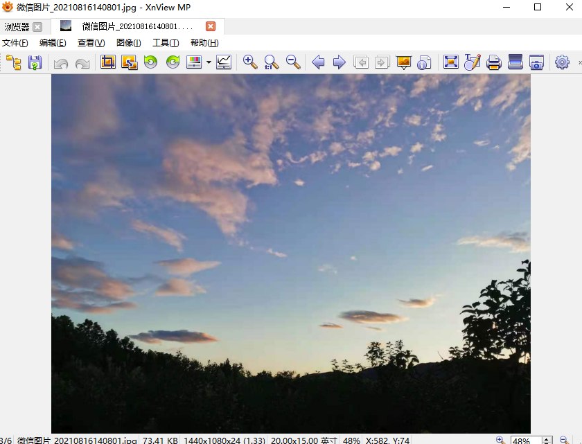 XnViewMPv1.0 ���İ�