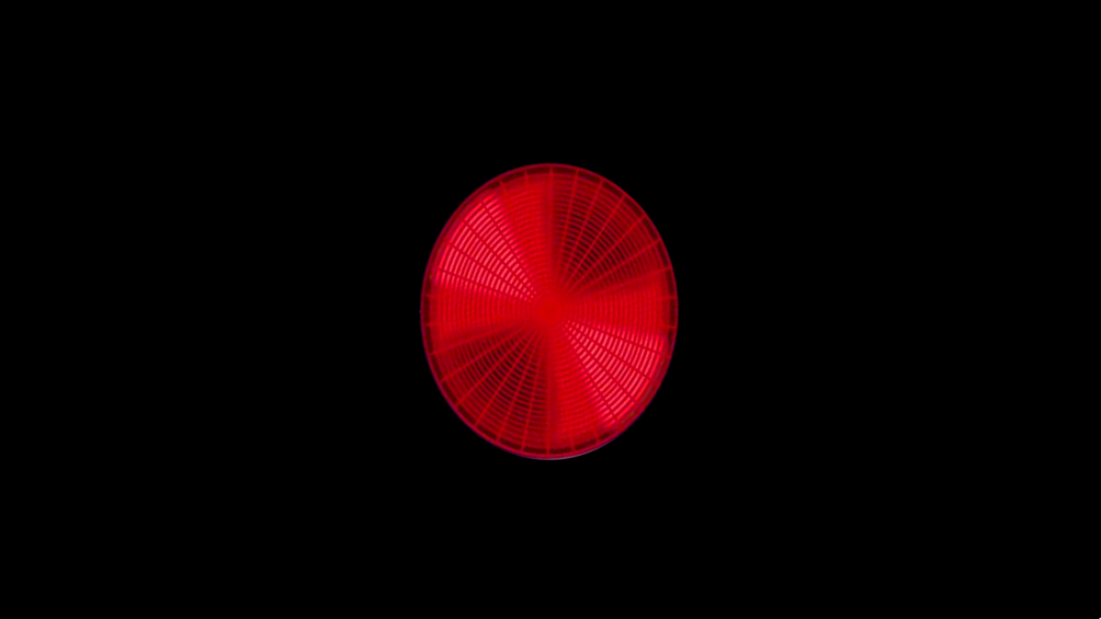 ������ʿblack����ģ����������v1.0 �ֻ���