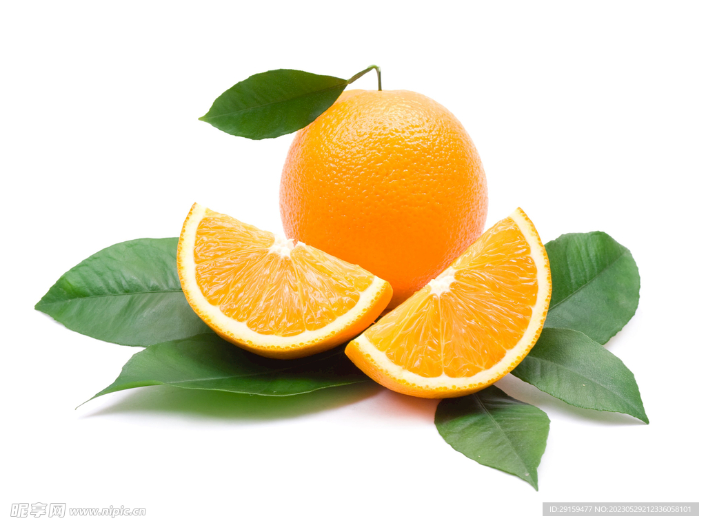 ���Ӽ� ��׿�� �����б�
