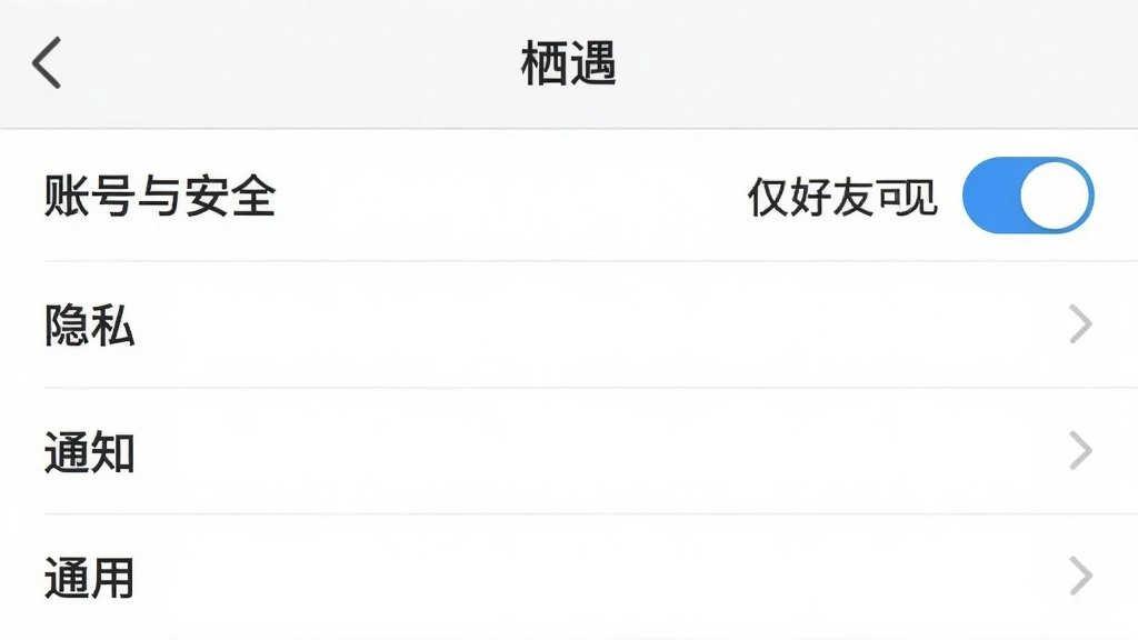 一张展示“栖遇”APP设置界面的截图,背景为白色,列表项有“账号与安全”、“隐私”、“通知”、“通用”等选项,其中“隐私”选项被高亮选中,右侧有“仅好友可见”的开关,整体界面简洁干净,排版整齐,画质清晰,风格扁平,无多余元素。