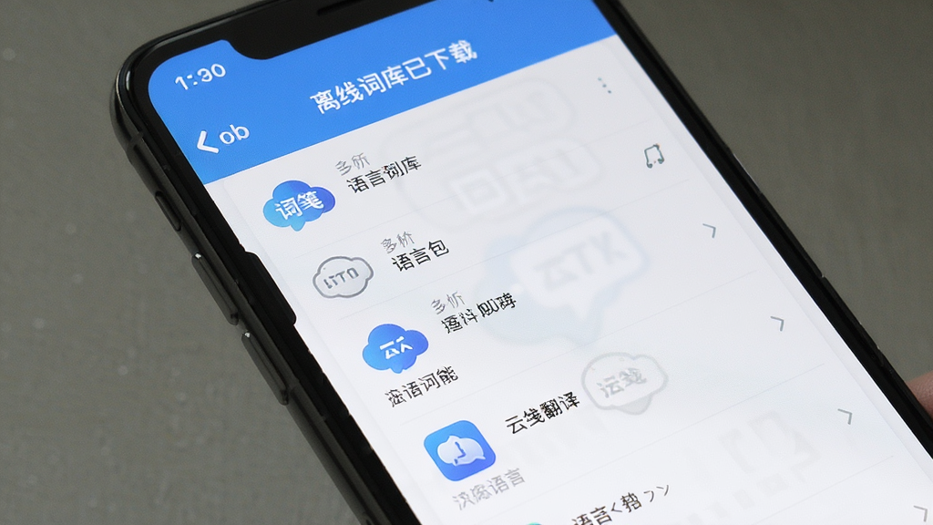 云笺翻译助手离线翻译功能展示,主体是手机屏幕显示离线词库已下载的界面,布局为列表式语言包管理页面,排版简洁,风格清爽,细节图标清晰,画质干净无多余元素。