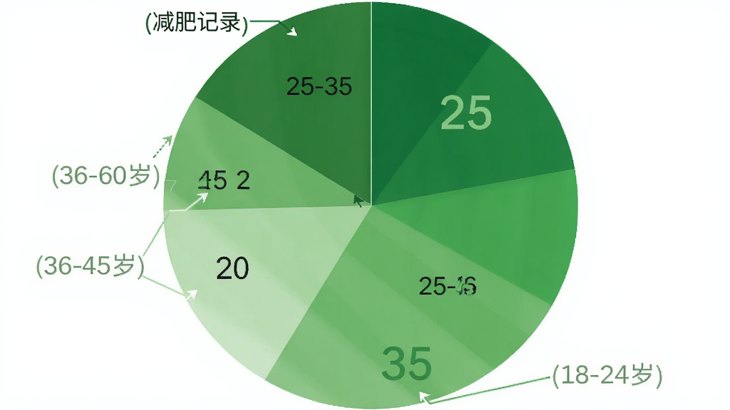 一个饼状图展示