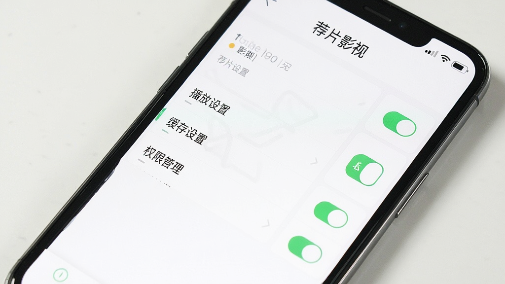 一张手机屏幕展示荐片影视App设置界面,界面中包含“荐片影视”标题,下方列表有播放设置、缓存设置、权限管理等选项,右侧有开关按钮,背景为白色,风格简洁,画质清晰,无多余元素
