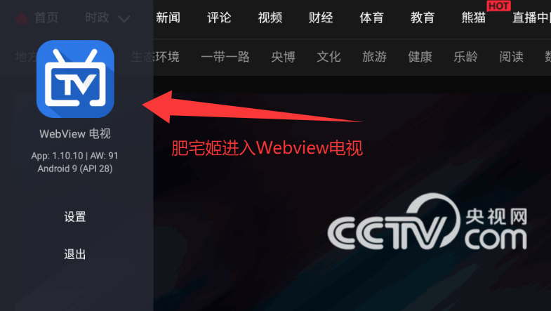 WebTV 安卓版 界面