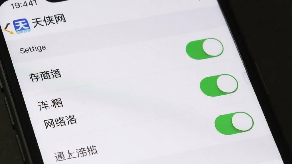 一部手机屏幕显示“天侠网”应用的权限管理设置页面,界面中有存储、网络等权限开关,画面风格为系统设置界面常见样式,干净整洁,重点突出权限开关按钮