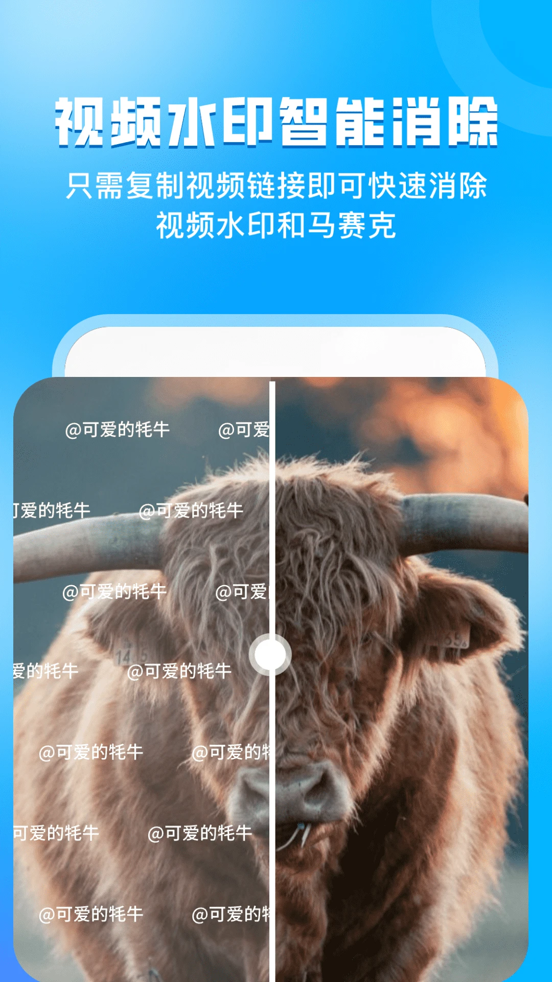 ָ����������ͷv3.0.1 ��׿��