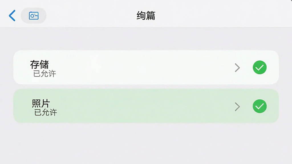 一张手机设置界面的截图,展示“绚篇”应用的权限管理页面,页面中“存储”和“照片”权限被高亮显示为“已允许”,旁边有绿色的对勾图标,背景是系统默认的浅色主题,风格清晰,布局规整,画质干净无多余元素
