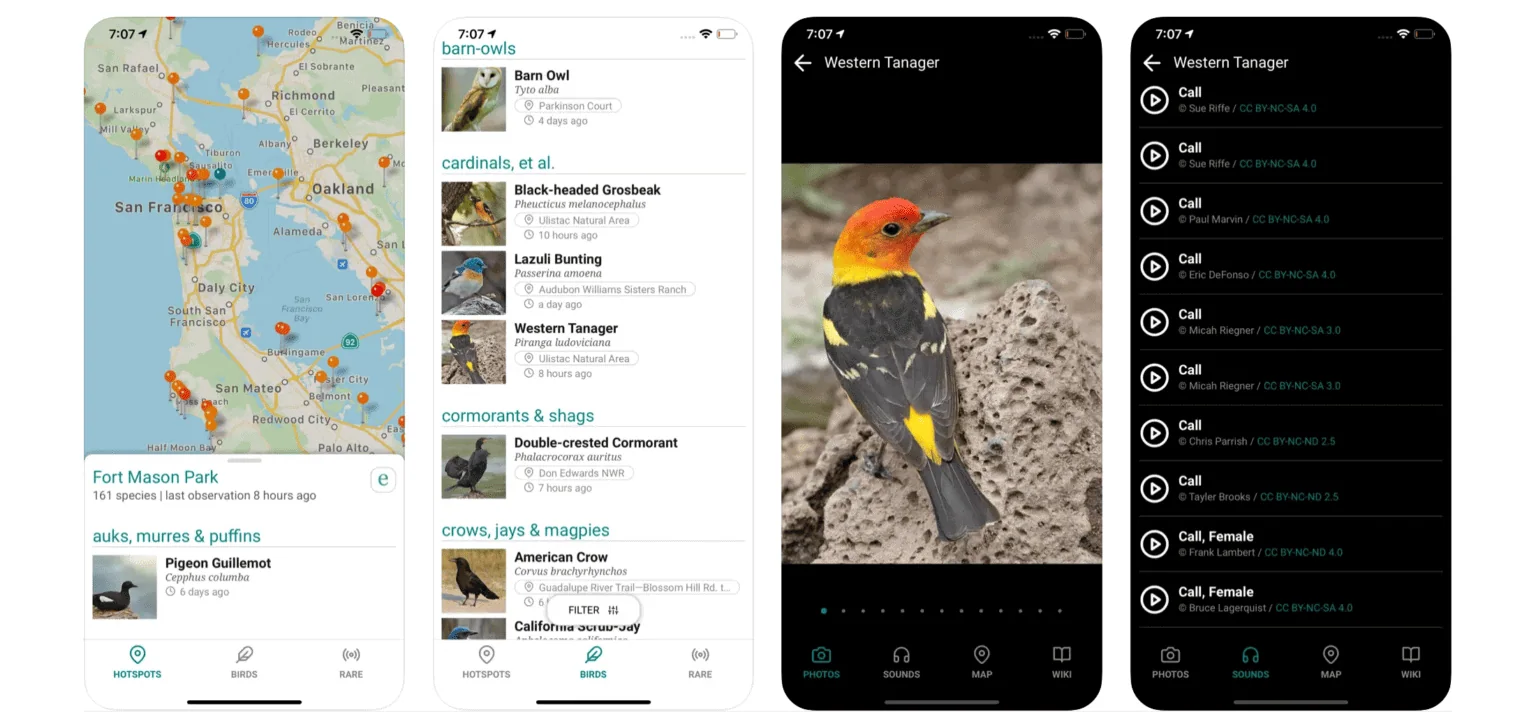 Go Birding ��׿�� ����Ӧ�ý����ͼ