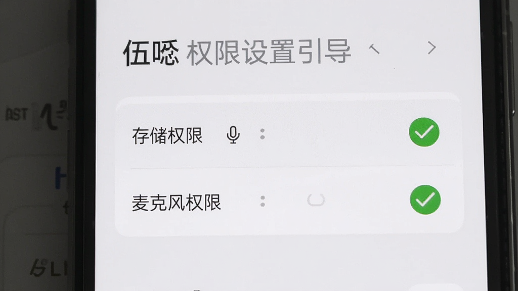 伍 权限设置引导界面,画面展示一个手机屏幕,屏幕上是应用权限管理页面,高亮显示“存储权限”和“麦克风权限”两个选项,旁边有绿色的对勾图标,界面背景是简洁的浅灰色,风格清晰直观,画质干净,无多余元素