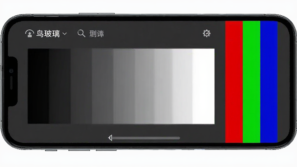 一张AI生图,展示“鸟玻璃”应用的色彩测试界面,主体是手机屏幕显示从黑到白的灰阶渐变条,旁边有红绿蓝色彩条对比,布局简洁明了,风格专业工具感,细节展示屏幕色彩过渡,画质干净清晰,无多余元素