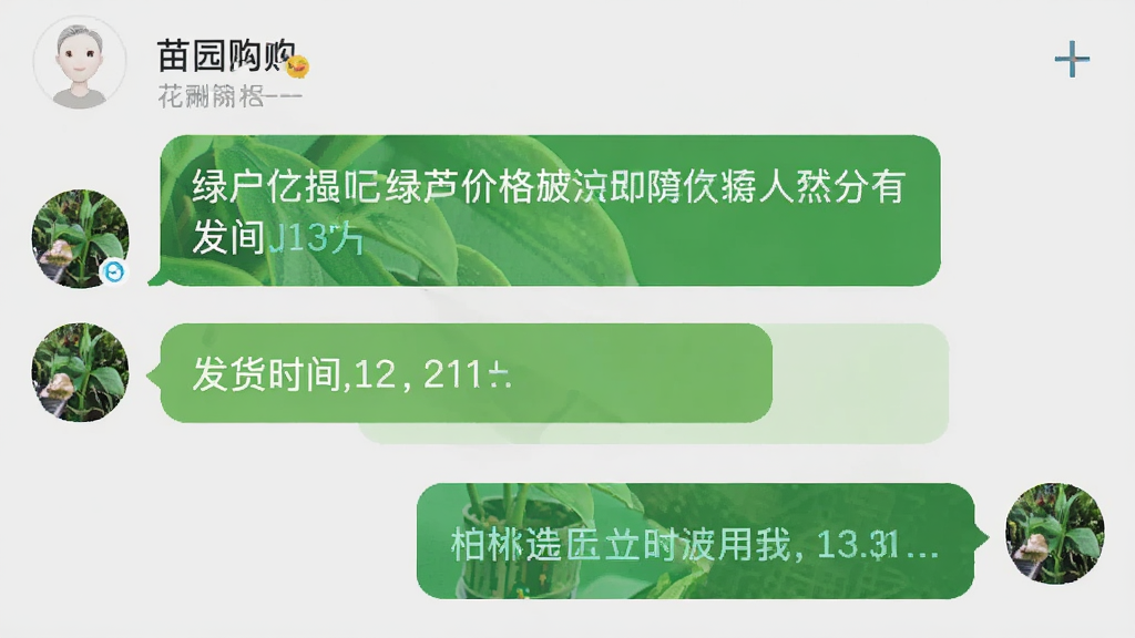 一张花园购应用内的聊天界面截图,展示用户与苗圃商家的对话,内容包括询问绿萝价格和发货时间。界面风格简洁,气泡清晰,背景为浅灰色,画质干净,无多余元素。