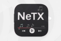 ������ֻ���ʹ��NetX���ֲ�����
