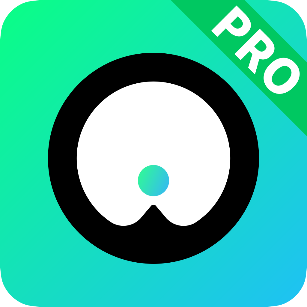 InnAIO Pro-AI翻译工具v3.9.1 智能翻译版