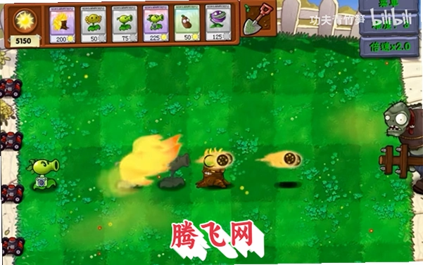 pvz�ʱ��Ұ�1.1��ʽ��v1.1 ���°�