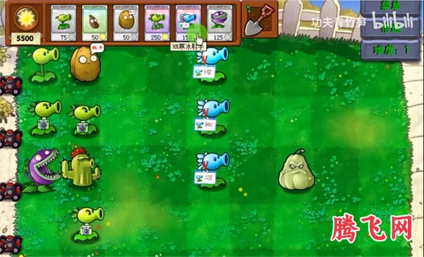 pvz�ʱ��Ұ�1.1��ʽ��v1.1 ���°�