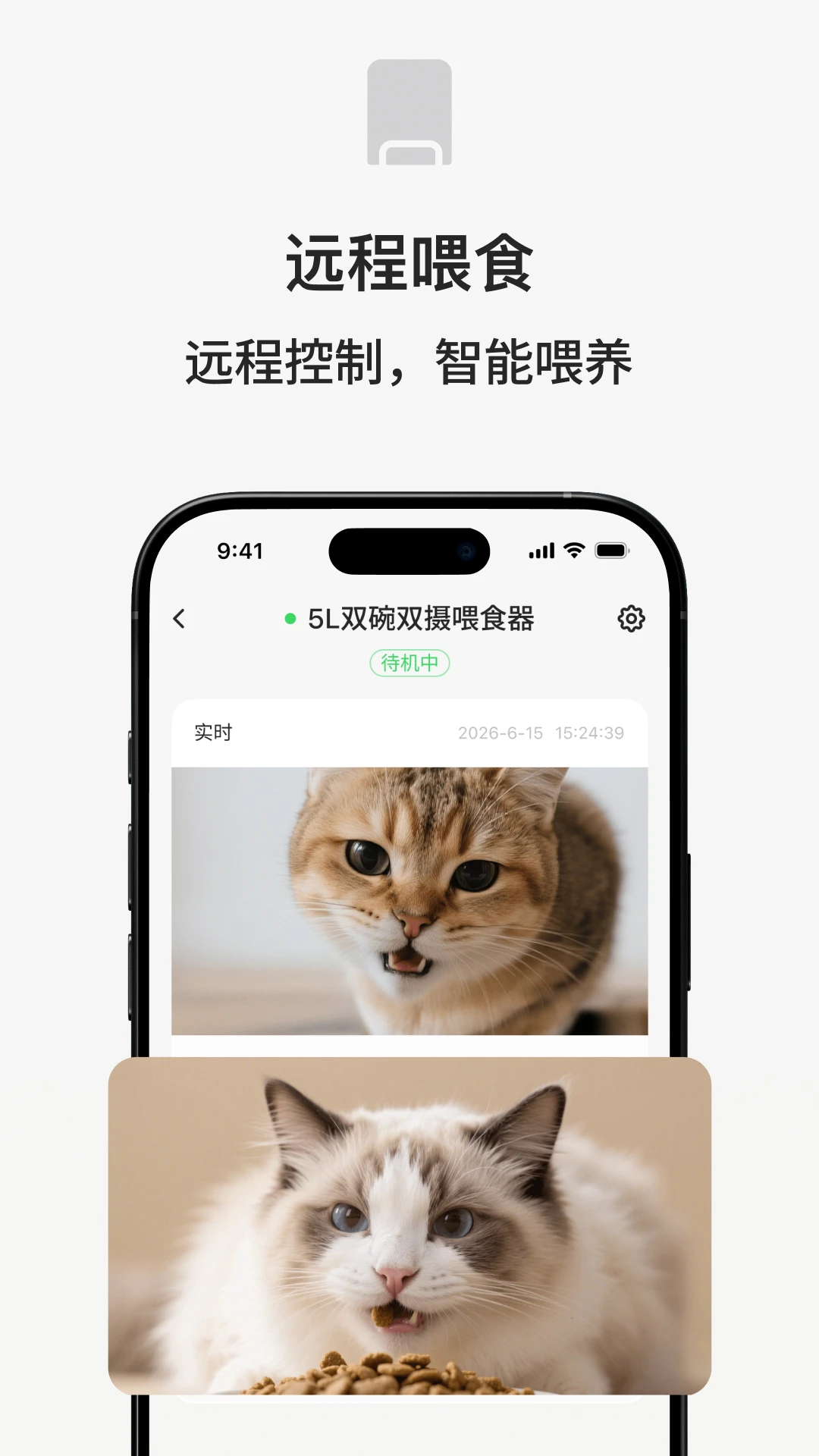 ��С��-������������v1.0.35 ȫ�°汾