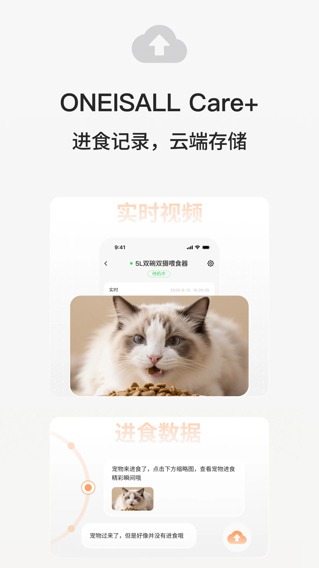��С��-������������v1.0.35 ȫ�°汾