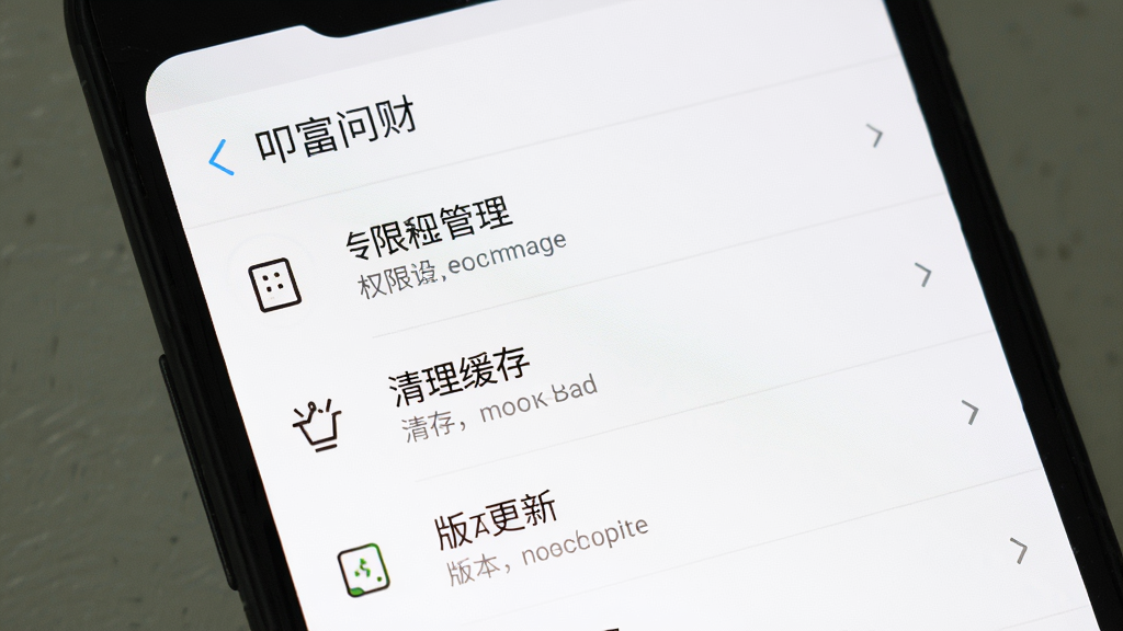 一张手机屏幕展示“叩富问财”软件设置界面的图片,主体是手机屏幕显示权限管理、清理缓存、版本更新等选项列表,排版是标准的安卓设置列表风格,背景是干净的白色,细节上图标是简约的线性风格,画质干净无多余元素。