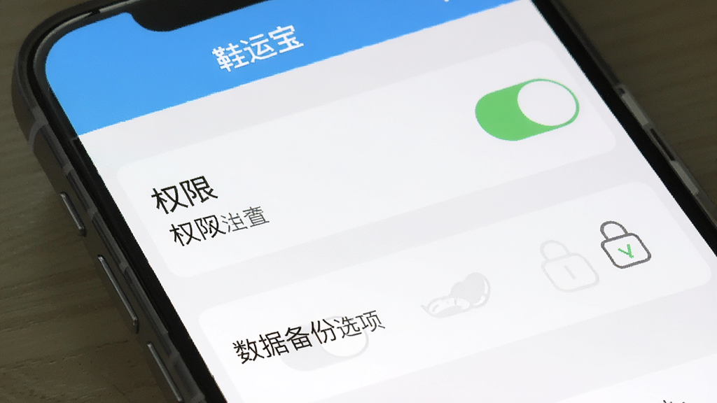 一张手机屏幕截图风格图,画面展示“鞋运宝”APP的设置页面,主体是权限开关和数据备份选项,布局为纵向列表,排版清晰,风格简洁,细节明确,画质干净,无多余元素,文字标注“鞋运宝”
