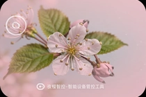 ҹӣ�ǿ���ôԶ�̹��������豸