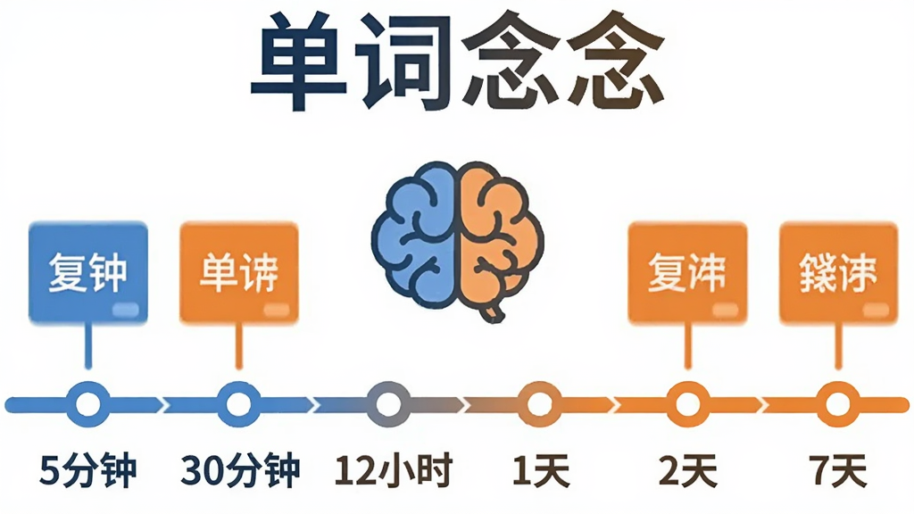 一张信息图表风格的插图,画面中央是一个大脑图标连接着时间轴,时间轴上标注