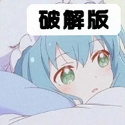 池鸳启动插件最新版本v5.0.2.4 安卓版