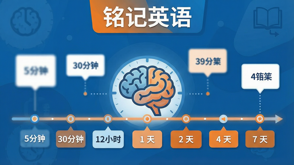 一张信息图风格的插图,画面中央是一个大脑图标,周围环绕着时间轴和单词卡片,时间轴上标注着5分钟、30分钟、12小时、1天、2天、4天、7天等时间节点,单词卡片从模糊逐渐变清晰,顶部有“铭记英语”文字标识,整体配色为蓝色和橙色,风格简洁现代,画质干净,无多余装饰