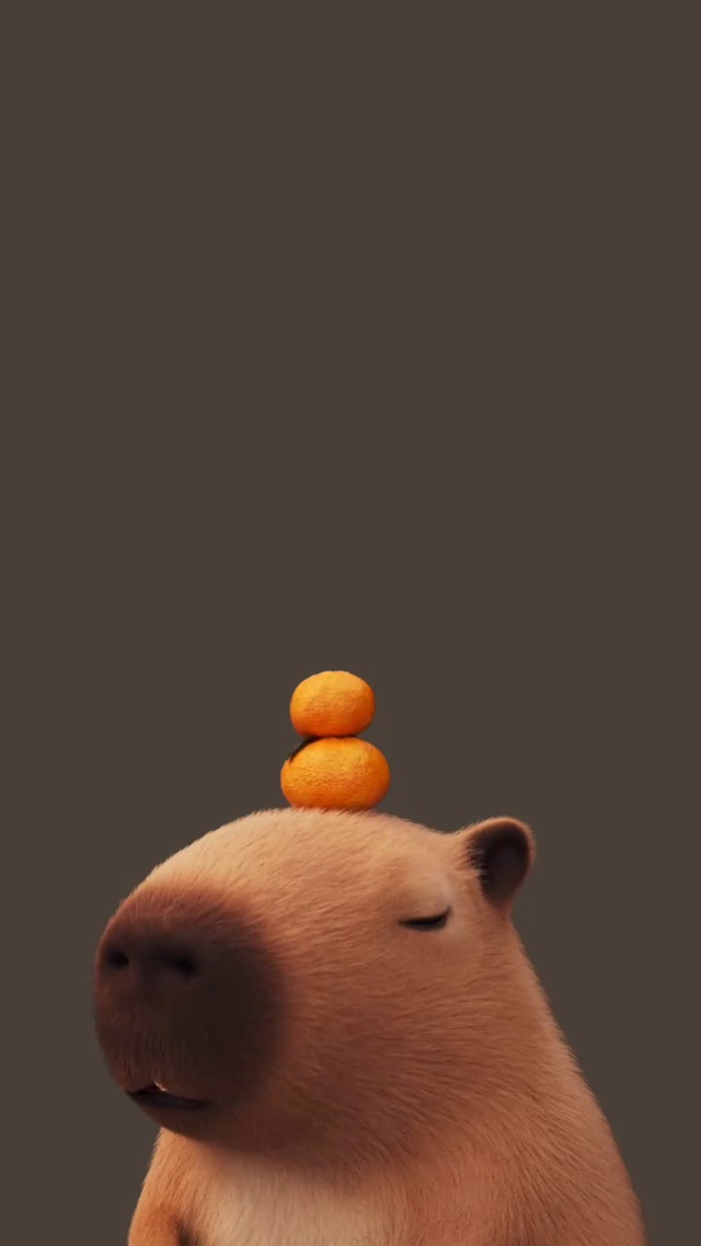 ��Ƥ���� ��׿�� ��̬��ֽ����
