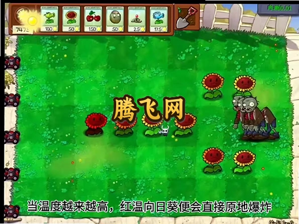 PVZ�ڹ����ֻ���v2.0 ��׿��