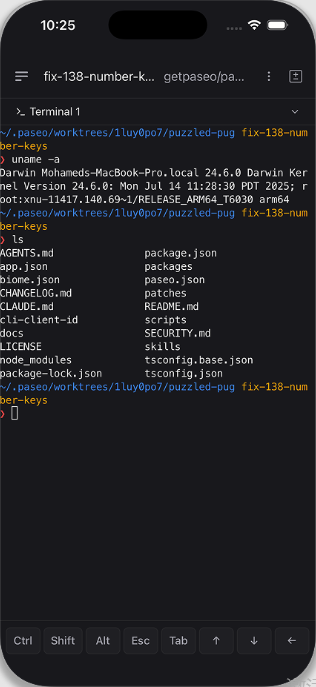 Paseo���°汾v0.9.1 �ٷ���