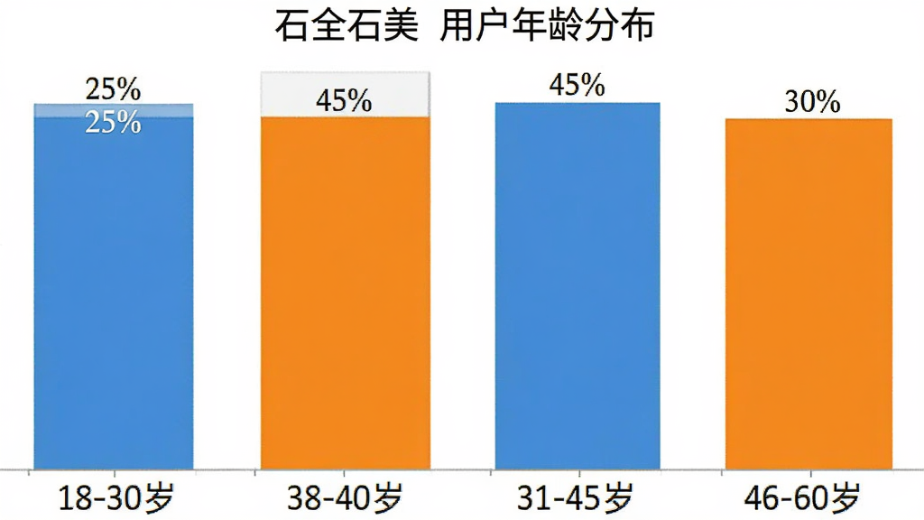 一张柱状图,显示「石全石美」用户年龄分布,18-30岁占比25%,31-45岁占比45%,46-60岁占比30%,图表配色清晰,风格简洁,画质干净