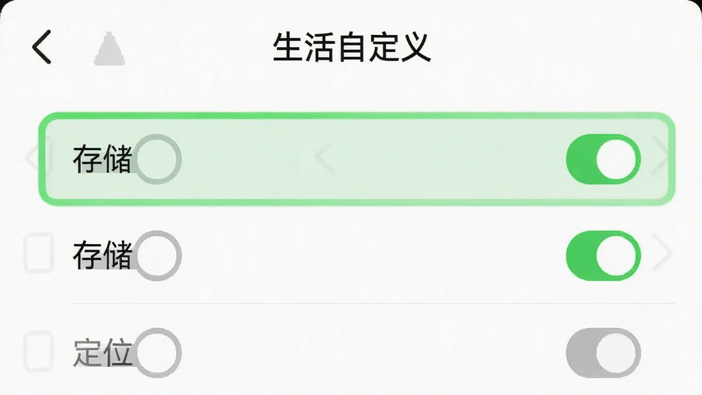 一张手机截图展示“生活自定义”的权限管理页面,高亮标注了“存储”和“定位”两个权限为绿色允许状态,其他权限为灰色拒绝状态,界面有“生活自定义”标题,风格清晰,画质干净,无多余元素