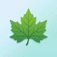 辉煌梧桐-免费小说阅读器v1.01 免费小说纯净版