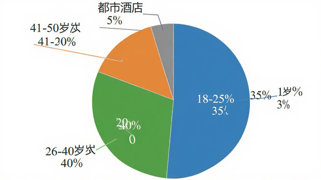 饼状图展示“都市酒店”用户年龄分布,18-25岁占35%,26-40岁占40%,41-50岁占20%,50岁以上占5%,饼图颜色分别为蓝色、绿色、橙色、灰色,背景白色,图表简洁清晰,数据标签明确,画质干净,无多余元素