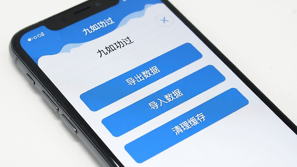 一张手机应用数据管理页面的图片,画面中“九如功过”应用的设置界面,屏幕上显示“导出数据”“导入数据”“清理缓存”等按钮,背景干净整洁,风格简约,画质清晰,无多余元素