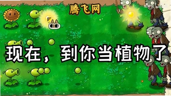 ֲ���ս��ʬ�������ֻ���v1.0.0 ��׿��