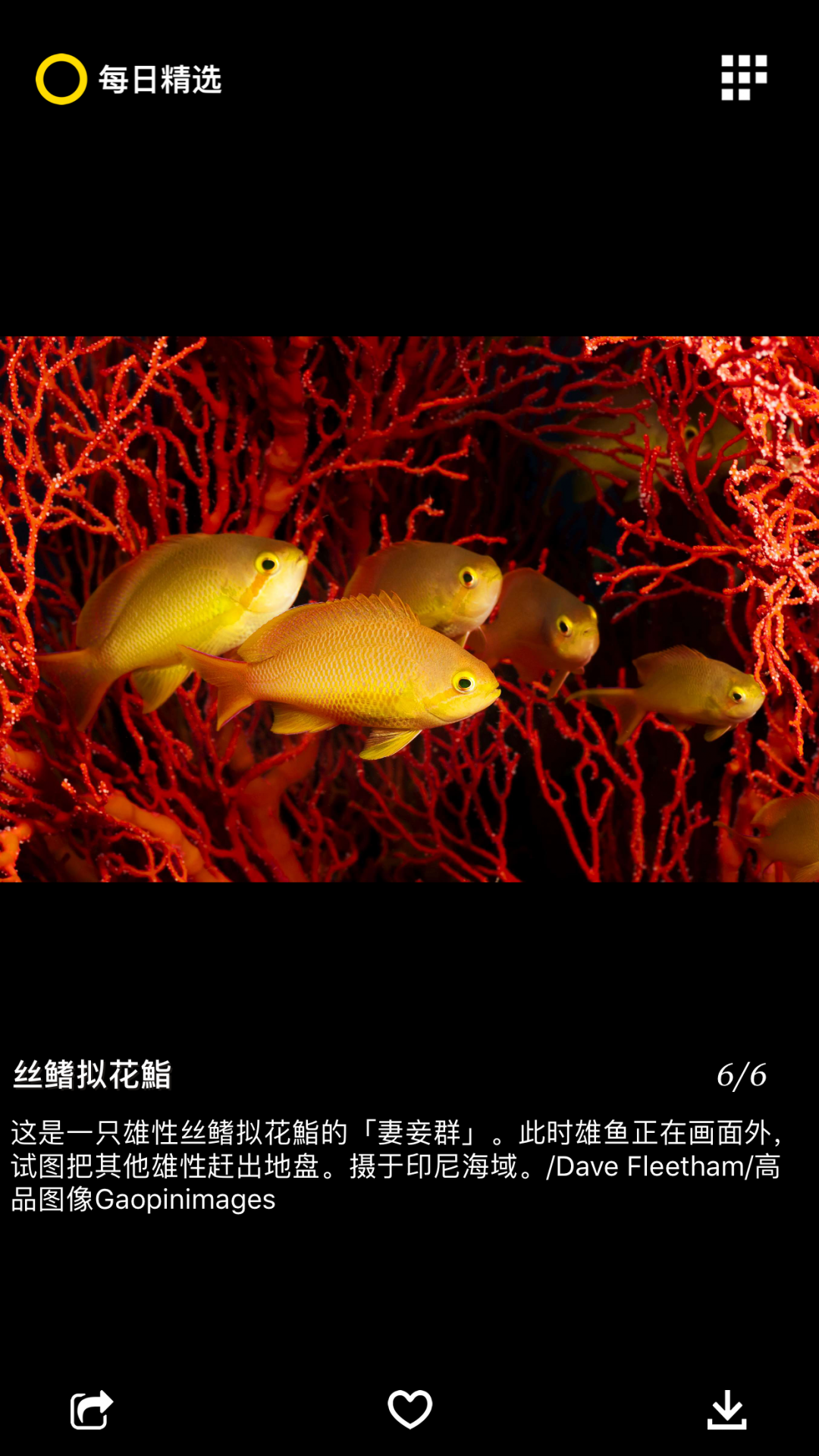 每日精选 安卓版 界面截图